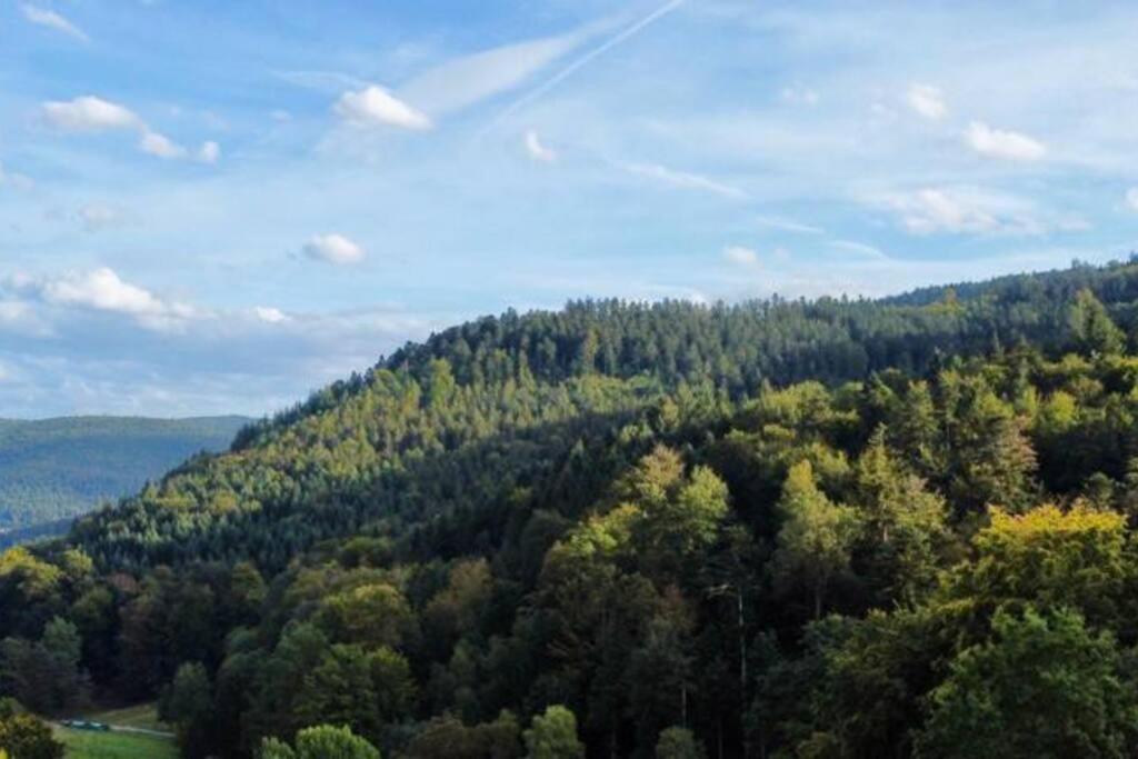 Wohnen Im Schwarzwald Mit Panoramablick Apartman Bad Herrenalb Kültér fotó